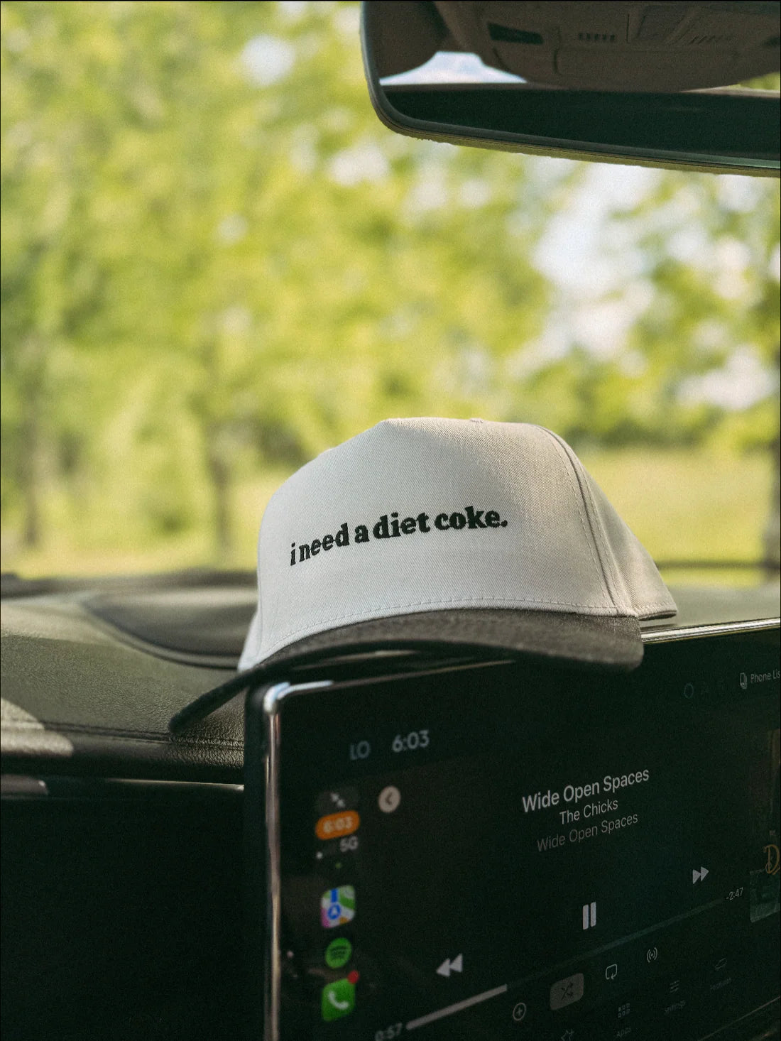 Diet Coke lover hat