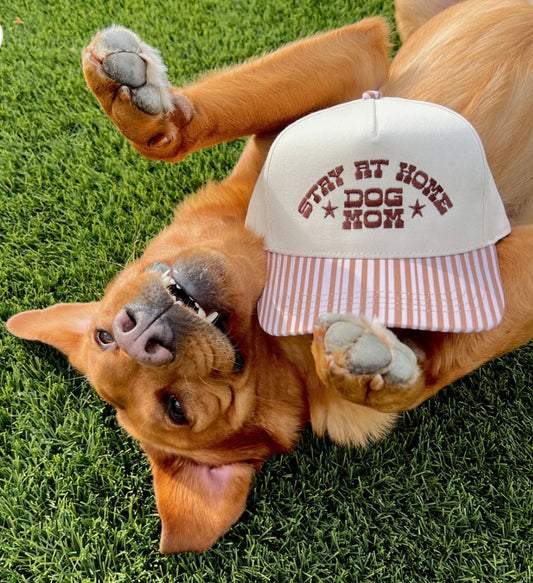Stay at home dog mom hat